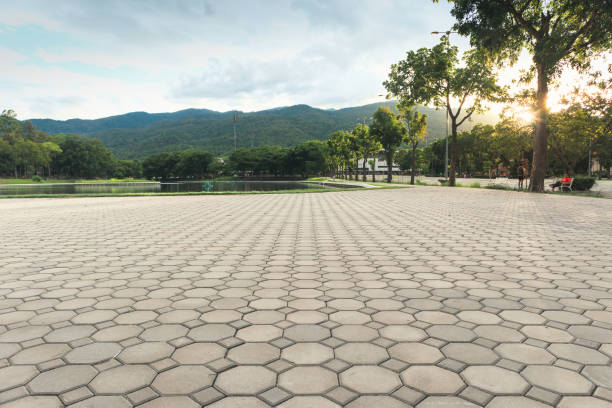 Best Residential Driveway Paver Services  in Enfield, NC