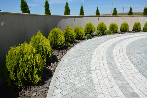 Reasons to Select Us for Your Driveway Paving Requirements in Enfield, NC